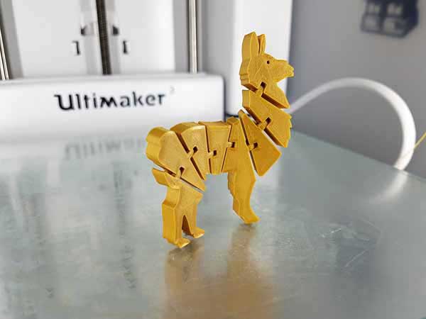 سازه سه بعدی لاما